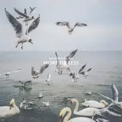 dan mangan - More OR Less