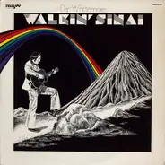 Dan Whittemore - Walkin' Sinai