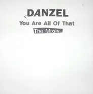 Danzel - You Are All Of That (The Mixes)