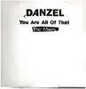 LP - Danzel - You Are All Of That (The Mixes)