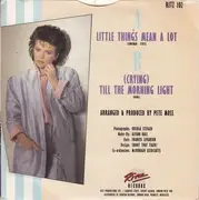 7inch Vinyl Single - Dana - Little Things Mean A Lot
