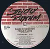 12inch Vinyl Single - Dance Syndication - Fools In Love