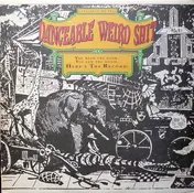Danceable Weird Shit - Here's The Record