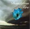 7inch Vinyl Single - Dandelion Fire - True Chasm - White