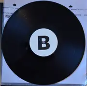 12inch Vinyl Single - Danger Danger - Monkey Business