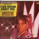 12'' - Dan Hartman - I Can Dream About You
