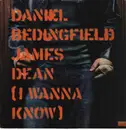 12inch Vinyl Single - Daniel Bedingfield - James Dean (I Wanna Know)