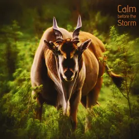 Daniel Brönnimann - Calm before the Storm