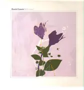 LP - Daniel Lanois - Belladonna