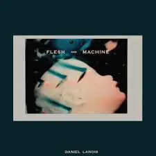 Daniel Lanois - Flesh and Machine