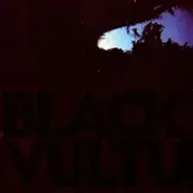 Daniel Norgren - BLACK VULTURES