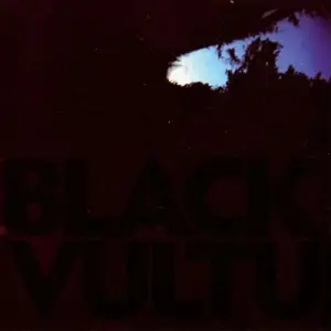 DANIEL NORGREN - BLACK VULTURES