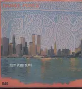 Daniel Ponce - New York now