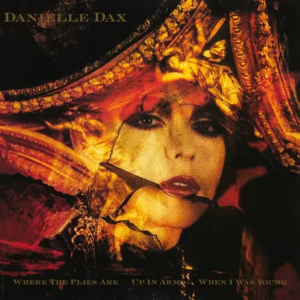 Danielle Dax - Where the Flies Are