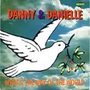 7inch Vinyl Single - Danny Und Danielle - What's The Way Of The World - No cover