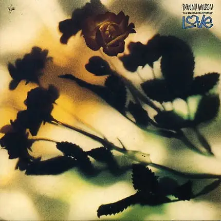 Danny Wilson - The Second Summer Of Love