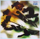 12'' - Danny Wilson - The Second Summer Of Love
