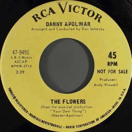 Danny Apolinar - The Middle Years
