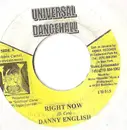 7inch Vinyl Single - Danny English / Mr. Lexx & Breeze - Right Now / DJ All Night