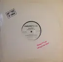 12inch Vinyl Single - Danny O'Keefe - Along For The Ride