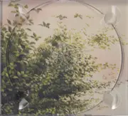 CD - Danny Schmidt - Instead The Forest Rose To Sing - Digipak