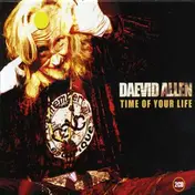 Daevid Allen - Time of Your Life