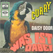Daisy Door - Curry / Was Ist Dabei