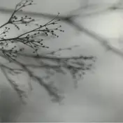 Dakota Suite - What Matters Most