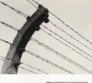 LP - Dakota Suite - Songs For A Barbed Wire Fence