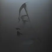 Dale Cooper Quartet And The Dictaphones