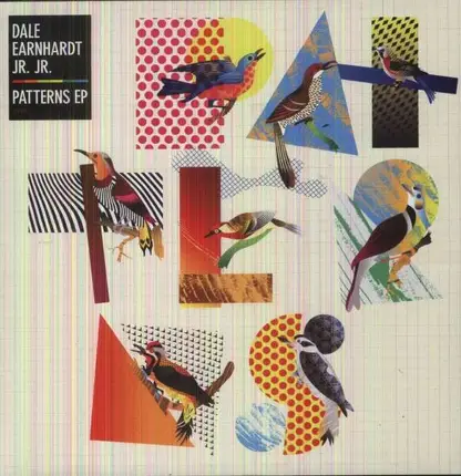 DALE EARNHARDT JR. JR. - PATTERNS