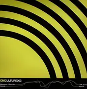 12'' - Dalessandro & Expander / Midi Miliz - SONICULTURE 003