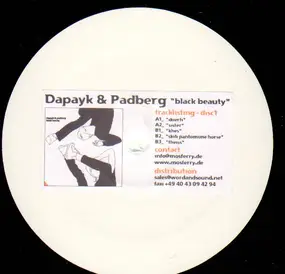 Dapayk & Padberg - Black Beauty LP