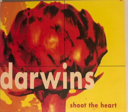 Darwins - Shoot The Heart