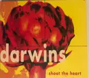 CD Single - Darwins - Shoot The Heart - Digipak