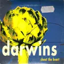 CD - Darwins - Shoot The Heart