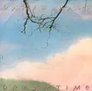7inch Vinyl Single - Daryl Hall - Dreamtime - poster bag