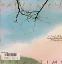 7inch Vinyl Single - Daryl Hall - Dreamtime