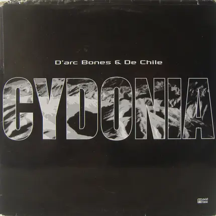 D'Arc Bones & Raul De Chile - Cydonia