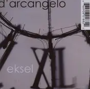 D'Arcangelo - Eksel