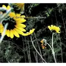 CD - Darden Smith - Sunflower