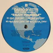 12'' - Dario D'Attis Feat. Freda Goodlett - Enjoy Yourself