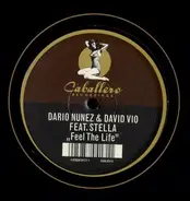 Darío Núñez & David Vio Feat. Veronica Stella - Feel The Life