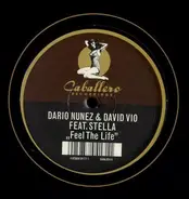 Darío Núñez & David Vio Feat. Veronica Stella - Feel The Life