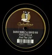12inch Vinyl Single - Darío Núñez & David Vio Feat. Veronica Stella - Feel The Life