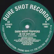 Dark Night Trippers - In The Daylight
