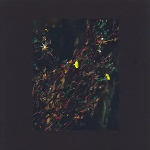 Dark Sky - The Passenger/The Walker