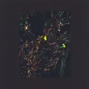 Dark Sky - The Passenger/The Walker