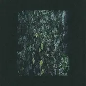 Dark Sky - The Walker/Kilter-Remixes