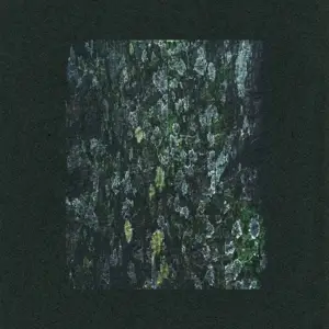Dark Sky - The Walker/Kilter-Remixes